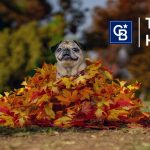 Thanksgiving November