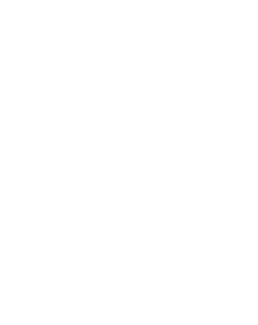 Logo_124042_Premier_VER_STK_W_MO